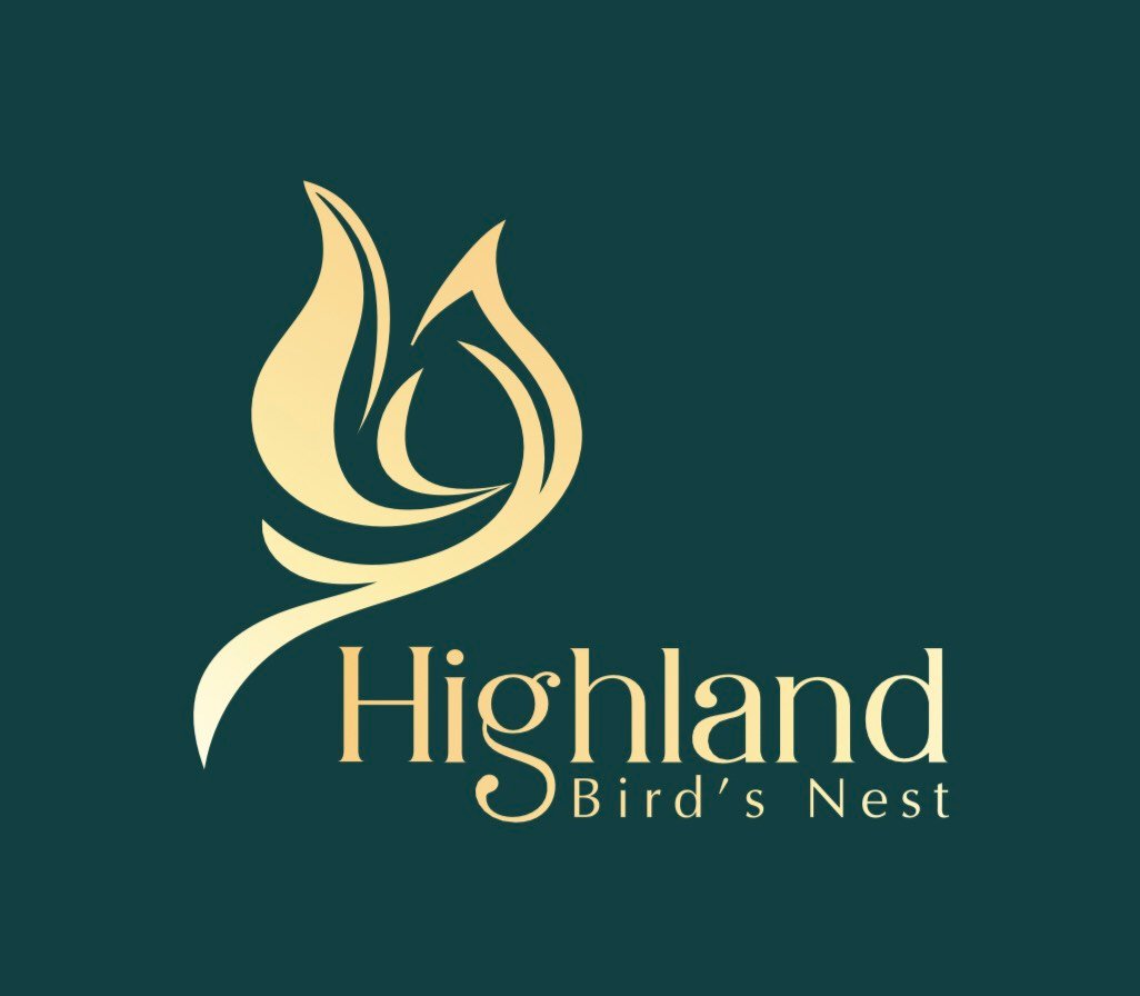 Highland Salanganes Nest